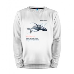 Мужской свитшот хлопок с принтом Hampback whale в Курске, 100% хлопок |  | animals | red book | red list | животные | животные из красной книги | красная книга | редкие животные