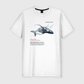 Мужская футболка премиум с принтом Hampback whale в Курске, 92% хлопок, 8% лайкра | приталенный силуэт, круглый вырез ворота, длина до линии бедра, короткий рукав | animals | red book | red list | животные | животные из красной книги | красная книга | редкие животные