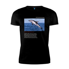 Мужская футболка премиум с принтом White-beaked Dolphin в Курске, 92% хлопок, 8% лайкра | приталенный силуэт, круглый вырез ворота, длина до линии бедра, короткий рукав | animals | red book | red list | животные | животные из красной книги | красная книга | редкие животные