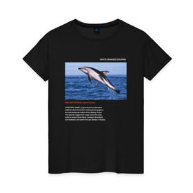 Женская футболка хлопок с принтом White-beaked Dolphin в Курске, 100% хлопок | прямой крой, круглый вырез горловины, длина до линии бедер, слегка спущенное плечо | animals | red book | red list | животные | животные из красной книги | красная книга | редкие животные