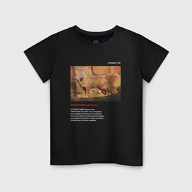 Детская футболка хлопок с принтом Corsac fox в Курске, 100% хлопок | круглый вырез горловины, полуприлегающий силуэт, длина до линии бедер | animals | red book | red list | животные | животные из красной книги | красная книга | редкие животные