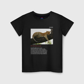 Детская футболка хлопок с принтом Leopard в Курске, 100% хлопок | круглый вырез горловины, полуприлегающий силуэт, длина до линии бедер | animals | red book | red list | животные | животные из красной книги | красная книга | редкие животные