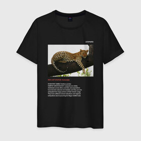 Мужская футболка хлопок с принтом Leopard в Курске, 100% хлопок | прямой крой, круглый вырез горловины, длина до линии бедер, слегка спущенное плечо. | animals | red book | red list | животные | животные из красной книги | красная книга | редкие животные