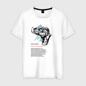 Мужская футболка хлопок с принтом Snow Leopard в Курске, 100% хлопок | прямой крой, круглый вырез горловины, длина до линии бедер, слегка спущенное плечо. | Тематика изображения на принте: animals | red book | red list | животные | животные из красной книги | красная книга | редкие животные