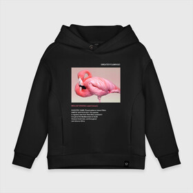 Детское худи Oversize хлопок с принтом Greater Flamingo в Курске, френч-терри — 70% хлопок, 30% полиэстер. Мягкий теплый начес внутри —100% хлопок | боковые карманы, эластичные манжеты и нижняя кромка, капюшон на магнитной кнопке | animals | red book | red list | животные | животные из красной книги | красная книга | редкие животные | фламинго