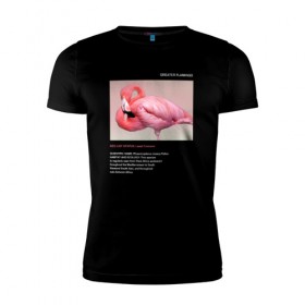 Мужская футболка премиум с принтом Greater Flamingo в Курске, 92% хлопок, 8% лайкра | приталенный силуэт, круглый вырез ворота, длина до линии бедра, короткий рукав | Тематика изображения на принте: animals | red book | red list | животные | животные из красной книги | красная книга | редкие животные | фламинго