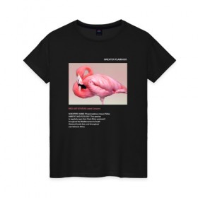 Женская футболка хлопок с принтом Greater Flamingo в Курске, 100% хлопок | прямой крой, круглый вырез горловины, длина до линии бедер, слегка спущенное плечо | animals | red book | red list | животные | животные из красной книги | красная книга | редкие животные | фламинго