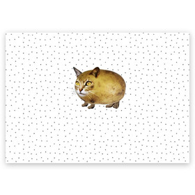 Поздравительная открытка с принтом ЧИЛИПИ*ДРИК в Курске, 100% бумага | плотность бумаги 280 г/м2, матовая, на обратной стороне линовка и место для марки
 | internet | meme | memes | pikabu | интернет | картофель | картошка | киса | киска | кот | котенок | котик | коты | котята | кошки | мем | мемас | мемасы | мемы | пикабу | прикол | приколы | чикибряк | шутка | юмор