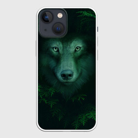 Чехол для iPhone 13 mini с принтом Сибирь. Лесной волк в Курске,  |  | safesibiria | siberia | алтай | волк | дикий | елки | ель | лес | охота | сибирь | сибирь горит | сибирьгорит | спаситесибирь | тайга | шерегеш | экология