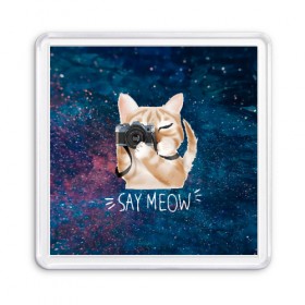 Магнит 55*55 с принтом Say Meow в Курске, Пластик | Размер: 65*65 мм; Размер печати: 55*55 мм | meow | кот | котенок | котик | котики | котятка | кошка | мяу | скажи мяу | фотоаппарат | фотограф