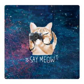 Магнитный плакат 3Х3 с принтом Say Meow в Курске, Полимерный материал с магнитным слоем | 9 деталей размером 9*9 см | meow | кот | котенок | котик | котики | котятка | кошка | мяу | скажи мяу | фотоаппарат | фотограф