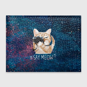 Обложка для студенческого билета с принтом Say Meow в Курске, натуральная кожа | Размер: 11*8 см; Печать на всей внешней стороне | Тематика изображения на принте: meow | кот | котенок | котик | котики | котятка | кошка | мяу | скажи мяу | фотоаппарат | фотограф