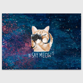 Поздравительная открытка с принтом Say Meow в Курске, 100% бумага | плотность бумаги 280 г/м2, матовая, на обратной стороне линовка и место для марки
 | meow | кот | котенок | котик | котики | котятка | кошка | мяу | скажи мяу | фотоаппарат | фотограф