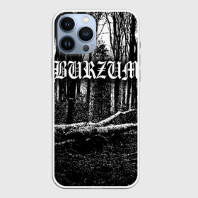 Чехол для iPhone 13 Pro Max с принтом Burzum в Курске,  |  | Тематика изображения на принте: burzum | ghotic | варг викернес | мрак | тьма