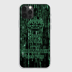 Чехол для iPhone 12 Pro Max с принтом THE MATRIX HAS YOU в Курске, Силикон |  | Тематика изображения на принте: matrix | андерсон | киану | код | компьютер. монитор. пк | матрица | послание | ривз | сообщение | томас