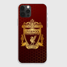 Чехол для iPhone 12 Pro Max с принтом LIVERPOOL в Курске, Силикон |  | lfc | liverpool | sport | ynwa | ливерпуль | лфк | спорт