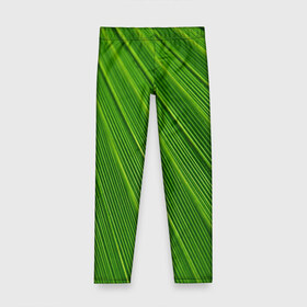 Детские леггинсы 3D с принтом Зелёный лист в Курске, полиэстер 85%, спандекс 15% | эластичный пояс, зауженный крой | abstract | абстрактно | абстрактный | абстракция | зеленый | зелень | лист | листок | листья | полоса | полоска | полосы | природа | флора