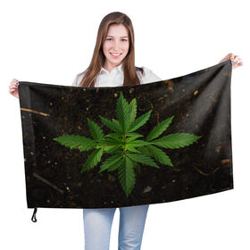 Флаг 3D с принтом Растение в Курске, 100% полиэстер | плотность ткани — 95 г/м2, размер — 67 х 109 см. Принт наносится с одной стороны | green | зеленый | зелень | земля | листья | почва | природа | природный | растение | растением | растения | флора