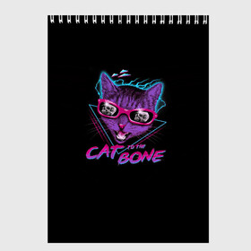 Скетчбук с принтом Cat To The Bone в Курске, 100% бумага
 | 48 листов, плотность листов — 100 г/м2, плотность картонной обложки — 250 г/м2. Листы скреплены сверху удобной пружинной спиралью | 80 | bone | bones | cat | cyber | game | hotline | hotlinemiami | maiami | music | outrun | retro | retrowave | skull | synth | synthwave | игра | кибер | кот | кошка | ретро | череп