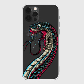Чехол для iPhone 12 Pro с принтом Viper в Курске, силикон | область печати: задняя сторона чехла, без боковых панелей | animals | art | poison | snake | venom | venomous | viper | арт | гадюка | животное | животные | змеи | змей | змея | картинка | картинки | прикольная | прикольные | яд | ядовитая | ядовитый