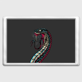 Магнит 45*70 с принтом Viper в Курске, Пластик | Размер: 78*52 мм; Размер печати: 70*45 | animals | art | poison | snake | venom | venomous | viper | арт | гадюка | животное | животные | змеи | змей | змея | картинка | картинки | прикольная | прикольные | яд | ядовитая | ядовитый
