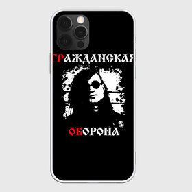 Чехол для iPhone 12 Pro Max с принтом Гр Об + Анархия (спина) в Курске, Силикон |  | punk | punks not dead | гр.об. | гражданская оборона | гроб | егор летов | панки | хой