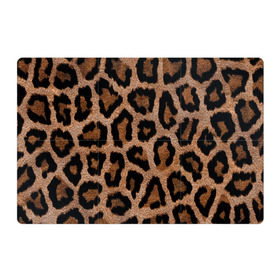 Магнитный плакат 3Х2 с принтом Леопардовая расцветка в Курске, Полимерный материал с магнитным слоем | 6 деталей размером 9*9 см | леопард | леопардовая | леопардовые | леопардовый | леопарды | пятнистые | пятнистый | пятнистым | расцветка
