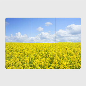 Магнитный плакат 3Х2 с принтом Рапсовое поле в Курске, Полимерный материал с магнитным слоем | 6 деталей размером 9*9 см | небо | облака | облако | поле | поля | посев | посевы | природа | природный | рапс | рапсовое | рапсовый | рапсом | туча | тучи | урожаи | урожай | цветами | цветок | цветы
