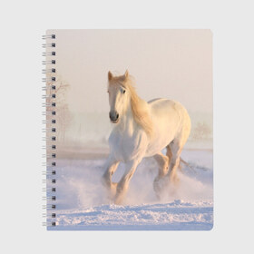 Тетрадь с принтом Белая лошадь на снегу в Курске, 100% бумага | 48 листов, плотность листов — 60 г/м2, плотность картонной обложки — 250 г/м2. Листы скреплены сбоку удобной пружинной спиралью. Уголки страниц и обложки скругленные. Цвет линий — светло-серый
 | белая | белый | декабрь | животное | животные | звери | зверь | зима | зимний | зимой | кони | конь | копытные | копытный | лошади | лошадь | снег | снега | снегу | снежный | февраль | январь