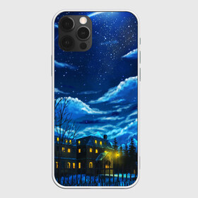 Чехол для iPhone 12 Pro Max с принтом ЗИМНЯЯ НОЧЬ в Курске, Силикон |  | star | stars | texture | вечер | вечерние иллюстрации | звезда | звезды | ночной пейзаж | ночные | ночь | природа | прогулки | текстуры