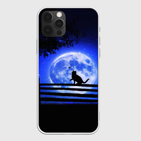 Чехол для iPhone 12 Pro Max с принтом КОТИК в Курске, Силикон |  | Тематика изображения на принте: star | stars | texture | вечер | вечерние иллюстрации | звезда | звезды | ночной пейзаж | ночные | ночь | природа | прогулки | текстуры