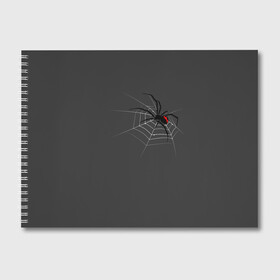 Альбом для рисования с принтом Паук в Курске, 100% бумага
 | матовая бумага, плотность 200 мг. | animal | animals | poison | spider | venom | вдова | животные | каракурт | паук | паутина | паучок | черная | черная вдова | яд