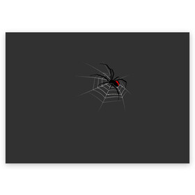 Поздравительная открытка с принтом Паук в Курске, 100% бумага | плотность бумаги 280 г/м2, матовая, на обратной стороне линовка и место для марки
 | animal | animals | poison | spider | venom | вдова | животные | каракурт | паук | паутина | паучок | черная | черная вдова | яд