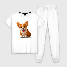 Женская пижама хлопок с принтом Корги в Курске, 100% хлопок | брюки и футболка прямого кроя, без карманов, на брюках мягкая резинка на поясе и по низу штанин | вельш корги | домашние животные | корги | пес | собака | собачнику | щенок