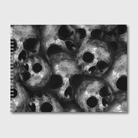Альбом для рисования с принтом Черепа в Курске, 100% бумага
 | матовая бумага, плотность 200 мг. | skull | гот | готика | кости | костлявые | костлявый | неживое | неживой | неживые | нежить | скелет | скелетон | скелетоны | скелеты | череп | черепа | черепки | черепком | черепок | черепом | черепы