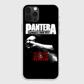 Чехол для iPhone 12 Pro Max с принтом Pantera в Курске, Силикон |  | Тематика изображения на принте: american | anselmo | havy metal | pantera | philip anselmo | trash metal | ансельмо | пантера | фил ансельмо