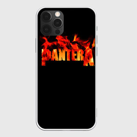 Чехол для iPhone 12 Pro Max с принтом Pantera в Курске, Силикон |  | Тематика изображения на принте: american | anselmo | havy metal | pantera | philip anselmo | trash metal | ансельмо | пантера | фил ансельмо