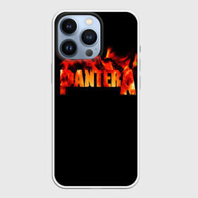 Чехол для iPhone 13 Pro с принтом Pantera в Курске,  |  | Тематика изображения на принте: american | anselmo | havy metal | pantera | philip anselmo | trash metal | ансельмо | пантера | фил ансельмо