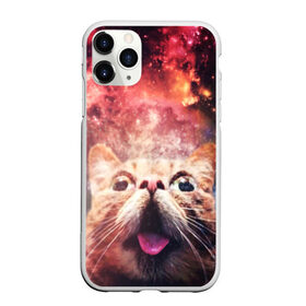 Чехол для iPhone 11 Pro Max матовый с принтом КОТ в Курске, Силикон |  | cat | cats | животные | киса | киска | кот | котики | коты | котэ | кошка | природа