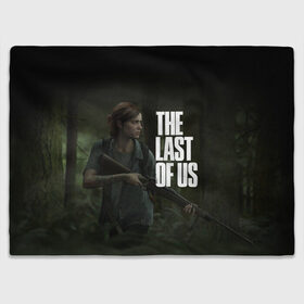 Плед 3D с принтом THE LAST OF US в Курске, 100% полиэстер | закругленные углы, все края обработаны. Ткань не мнется и не растягивается | cicadas | fireflies | naughty dog | the last of us | the last of us part 2 | джоэл | последние из нас | цикады | элли