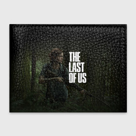 Обложка для студенческого билета с принтом THE LAST OF US в Курске, натуральная кожа | Размер: 11*8 см; Печать на всей внешней стороне | cicadas | fireflies | naughty dog | the last of us | the last of us part 2 | джоэл | последние из нас | цикады | элли