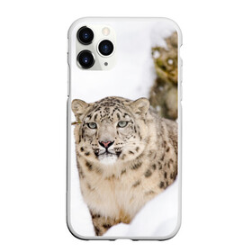 Чехол для iPhone 11 Pro матовый с принтом Ирбис в Курске, Силикон |  | snow leopard | барс | барсы | животное | животные | звери | зверь | зима | зимы | ирбис | киски | кот | коты | кошачьи | кошка | кошки | мохнатые | мохнатый | пятнистые | пятнистый | снег | снежный