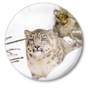Значок с принтом Ирбис в Курске,  металл | круглая форма, металлическая застежка в виде булавки | snow leopard | барс | барсы | животное | животные | звери | зверь | зима | зимы | ирбис | киски | кот | коты | кошачьи | кошка | кошки | мохнатые | мохнатый | пятнистые | пятнистый | снег | снежный