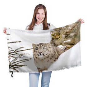 Флаг 3D с принтом Ирбис в Курске, 100% полиэстер | плотность ткани — 95 г/м2, размер — 67 х 109 см. Принт наносится с одной стороны | snow leopard | барс | барсы | животное | животные | звери | зверь | зима | зимы | ирбис | киски | кот | коты | кошачьи | кошка | кошки | мохнатые | мохнатый | пятнистые | пятнистый | снег | снежный
