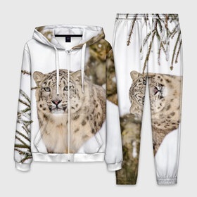 Мужской костюм 3D с принтом Ирбис в Курске, 100% полиэстер | Манжеты и пояс оформлены тканевой резинкой, двухслойный капюшон со шнурком для регулировки, карманы спереди | Тематика изображения на принте: snow leopard | барс | барсы | животное | животные | звери | зверь | зима | зимы | ирбис | киски | кот | коты | кошачьи | кошка | кошки | мохнатые | мохнатый | пятнистые | пятнистый | снег | снежный