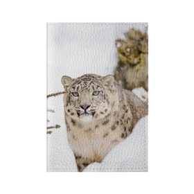 Обложка для паспорта матовая кожа с принтом Ирбис в Курске, натуральная матовая кожа | размер 19,3 х 13,7 см; прозрачные пластиковые крепления | Тематика изображения на принте: snow leopard | барс | барсы | животное | животные | звери | зверь | зима | зимы | ирбис | киски | кот | коты | кошачьи | кошка | кошки | мохнатые | мохнатый | пятнистые | пятнистый | снег | снежный