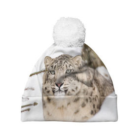 Шапка 3D c помпоном с принтом Ирбис в Курске, 100% полиэстер | универсальный размер, печать по всей поверхности изделия | snow leopard | барс | барсы | животное | животные | звери | зверь | зима | зимы | ирбис | киски | кот | коты | кошачьи | кошка | кошки | мохнатые | мохнатый | пятнистые | пятнистый | снег | снежный