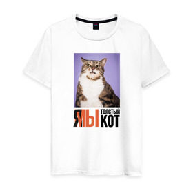 Мужская футболка хлопок с принтом Я-МЫ толстый кот в Курске, 100% хлопок | прямой крой, круглый вырез горловины, длина до линии бедер, слегка спущенное плечо. | викторлетай | кот | котики | мемы | приколы