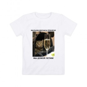 Детская футболка хлопок с принтом Кот-Недолет в Курске, 100% хлопок | круглый вырез горловины, полуприлегающий силуэт, длина до линии бедер | брат | брат 2 | котики | коты | мемы | мемы с котами