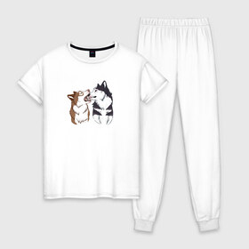 Женская пижама хлопок с принтом Две Хаски в Курске, 100% хлопок | брюки и футболка прямого кроя, без карманов, на брюках мягкая резинка на поясе и по низу штанин | две хаски | друзья | питомцы | рисунок | собаки | хаски